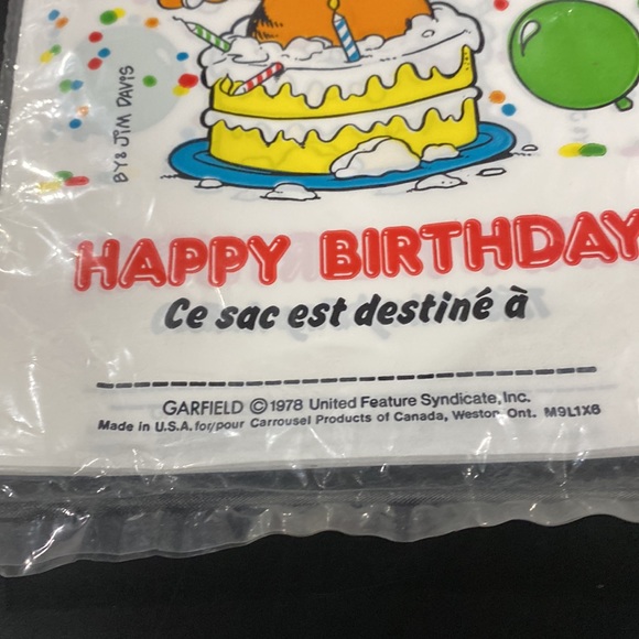 NEW: Garfield Birthday Party Loot Bags - Pack of 10 - Picture 4 of 6